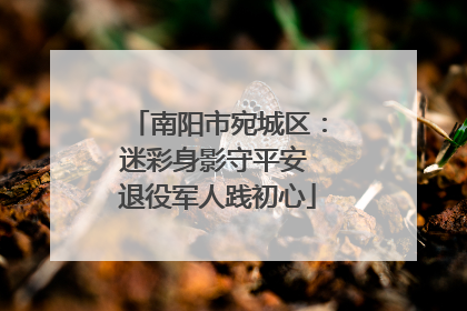 南阳市宛城区：迷彩身影守平安 退役军人践初心