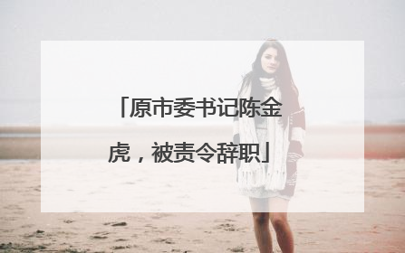 原市委书记陈金虎，被责令辞职