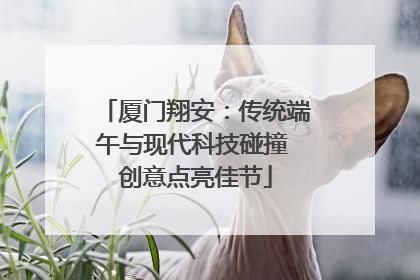 厦门翔安：传统端午与现代科技碰撞 创意点亮佳节