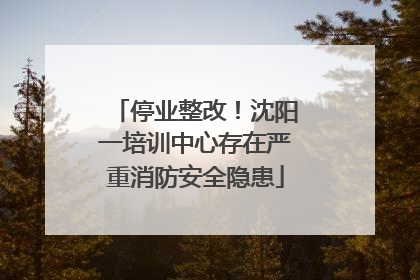 停业整改！沈阳一培训中心存在严重消防安全隐患
