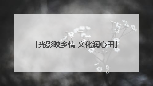 光影映乡情 文化润心田