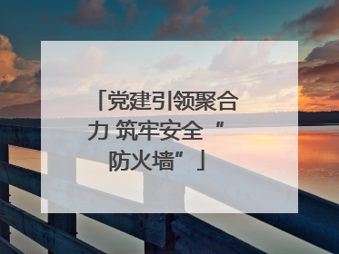 党建引领聚合力 筑牢安全“防火墙”