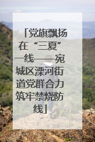 党旗飘扬在“三夏”一线——宛城区溧河街道党群合力筑牢禁烧防线