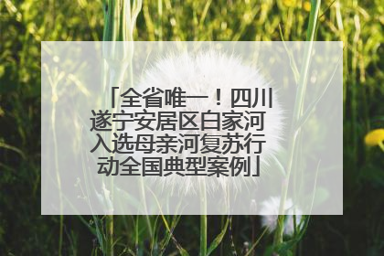 全省唯一！四川遂宁安居区白家河入选母亲河复苏行动全国典型案例