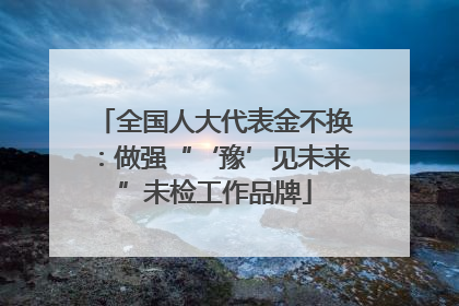 全国人大代表金不换：做强“‘豫’见未来”未检工作品牌