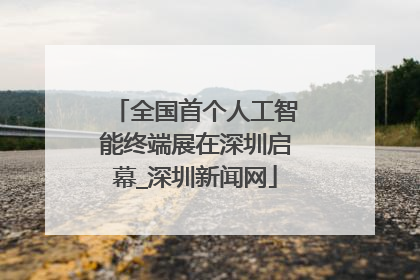 全国首个人工智能终端展在深圳启幕_深圳新闻网