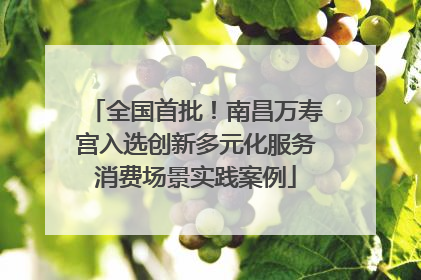 全国首批！南昌万寿宫入选创新多元化服务消费场景实践案例