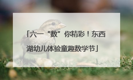 六一“数”你精彩！东西湖幼儿体验童趣数学节