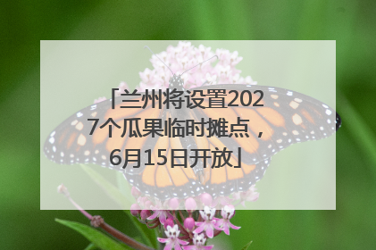 兰州将设置2027个瓜果临时摊点，6月15日开放