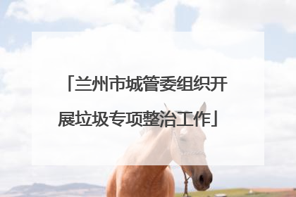 兰州市城管委组织开展垃圾专项整治工作