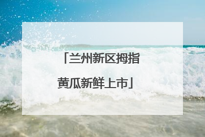 兰州新区拇指黄瓜新鲜上市
