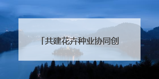 共建花卉种业协同创新中心助推沪滇花卉科技合作迈上新台阶