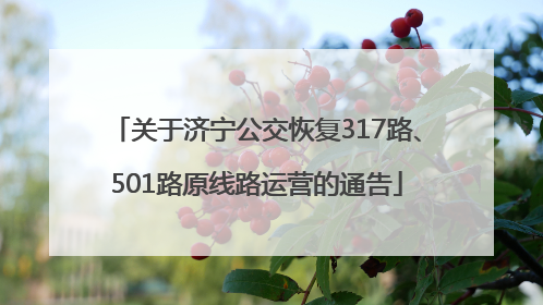 关于济宁公交恢复317路、501路原线路运营的通告