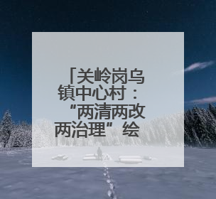 关岭岗乌镇中心村：“两清两改两治理”绘就美丽乡村新画卷