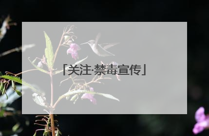 关注·禁毒宣传