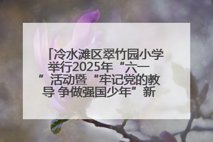 冷水滩区翠竹园小学举行2025年“六一”活动暨“牢记党的教导 争做强国少年”新队员入队仪式