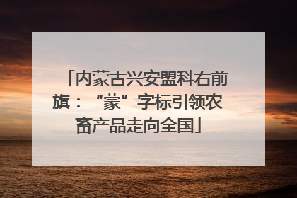 内蒙古兴安盟科右前旗：“蒙”字标引领农畜产品走向全国