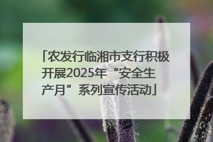 农发行临湘市支行积极开展2025年“安全生产月”系列宣传活动