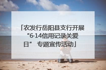 农发行岳阳县支行开展“6·14信用记录关爱日” 专题宣传活动
