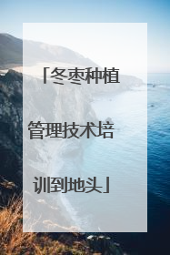 冬枣种植管理技术培训到地头