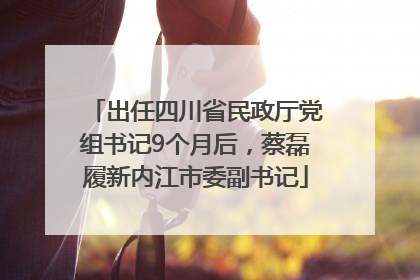 出任四川省民政厅党组书记9个月后，蔡磊履新内江市委副书记