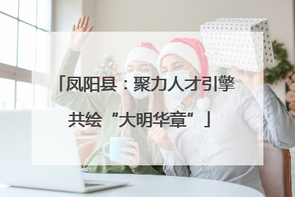 凤阳县：聚力人才引擎 共绘“大明华章”