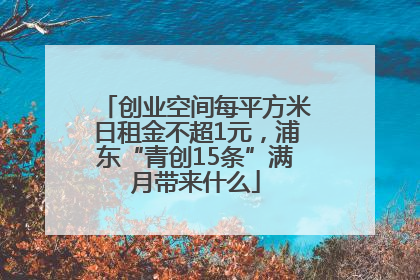 创业空间每平方米日租金不超1元，浦东“青创15条”满月带来什么