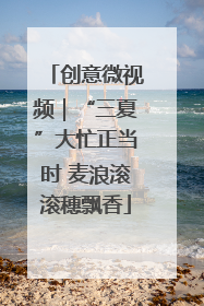 创意微视频｜“三夏”大忙正当时 麦浪滚滚穗飘香