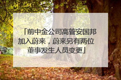 前中金公司高管安国邦加入蔚来，蔚来另有两位董事发生人员变更