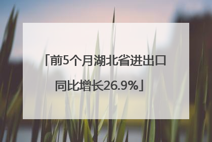前5个月湖北省进出口同比增长26.9%