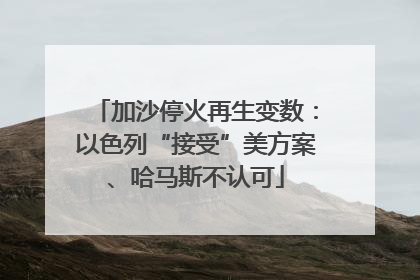 加沙停火再生变数：以色列“接受”美方案、哈马斯不认可