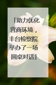 助力优化营商环境，丰台检察院举办了一场圆桌对话