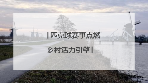匹克球赛事点燃乡村活力引擎