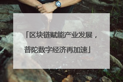 区块链赋能产业发展，普陀数字经济再加速