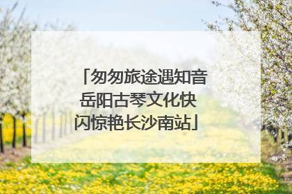 匆匆旅途遇知音 岳阳古琴文化快闪惊艳长沙南站