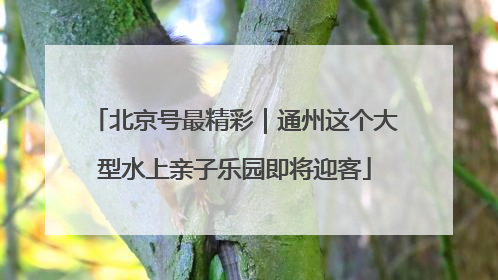 北京号最精彩｜通州这个大型水上亲子乐园即将迎客