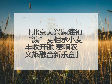 北京大兴瀛海镇“瀛”麦相承小麦丰收开镰 奏响农文旅融合新乐章