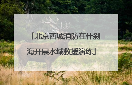 北京西城消防在什刹海开展水域救援演练