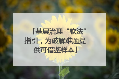 基层治理“软法”指引，为破解难题提供可借鉴样本