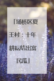 埇桥区夏王村：十年耕耘结出富民瓜