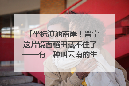 坐标滇池南岸！晋宁这片镜面稻田藏不住了——有一种叫云南的生活之365天