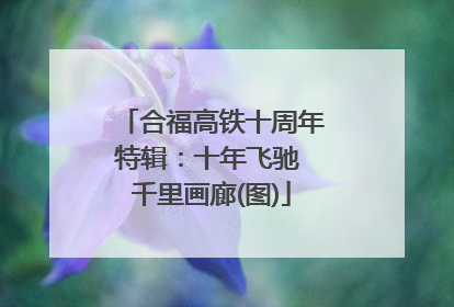 合福高铁十周年特辑：十年飞驰 千里画廊(图)