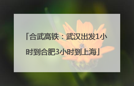 合武高铁：武汉出发1小时到合肥3小时到上海