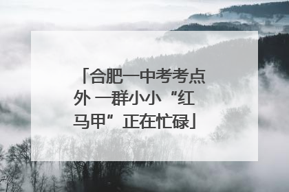 合肥一中考考点外 一群小小“红马甲”正在忙碌