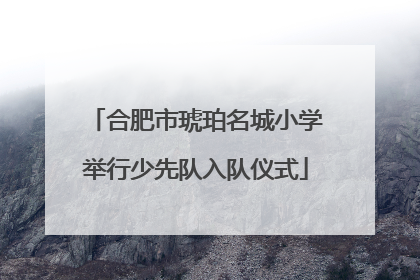 合肥市琥珀名城小学举行少先队入队仪式