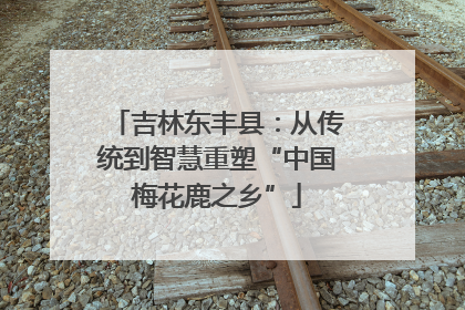 吉林东丰县：从传统到智慧重塑“中国梅花鹿之乡”