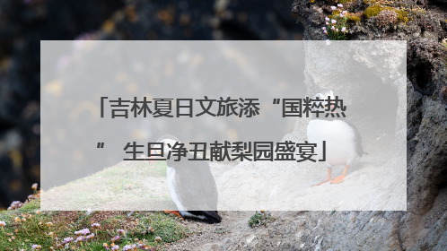吉林夏日文旅添“国粹热” 生旦净丑献梨园盛宴