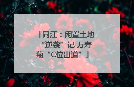 同江：闲置土地“逆袭”记 万寿菊“C位出道”