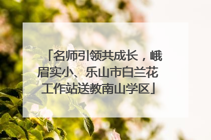 名师引领共成长，峨眉实小、乐山市白兰花工作站送教南山学区