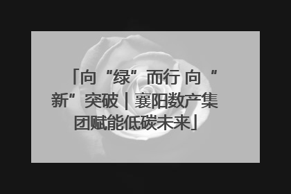 向“绿”而行 向“新”突破｜襄阳数产集团赋能低碳未来